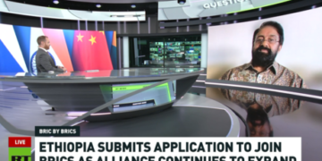 South African president may visit Russia for summit – media