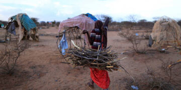 UN lauds India for lifting 415 million citizens out of poverty in 15 years