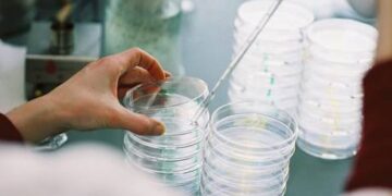 Worm revived and reproducing after 46,000 years in permafrost