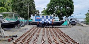 Scientists concerned over sharks high on cocaine