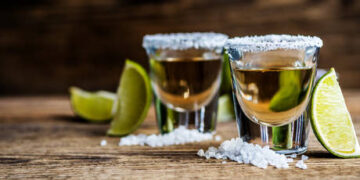 Mexico wants Russian fertilizers and steel – envoy