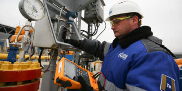 EU countries cut gas consumption – report