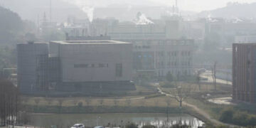 US halts funding to Wuhan lab