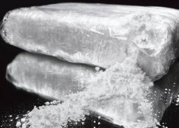 Has Hunter Biden’s decadent lifestyle become a metaphor for US society?