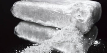 Has Hunter Biden’s decadent lifestyle become a metaphor for US society?