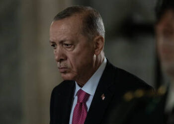 Ukraine ‘deserves’ NATO membership – Erdogan