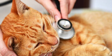 Weight-loss drugs probed over ‘suicidal thoughts’