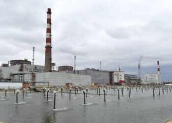 IAEA issues results of probe into Kiev’s claim mines were laid at nuclear plant