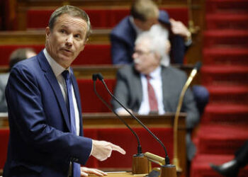 Most French blame liberal immigration rules for riots – poll