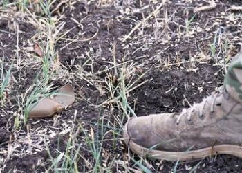 Democrats slam cluster bomb transfer to Ukraine