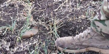 Democrats slam cluster bomb transfer to Ukraine