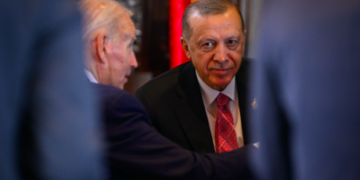 Sweden’s NATO membership not a done deal – Erdogan aide