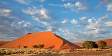 Brazil to restore ‘fruitful’ relations with Africa – president