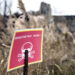 Demining Ukraine will take 757 years – WaPo