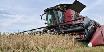 Kiev used grain deal to stock up on military supplies – Russia