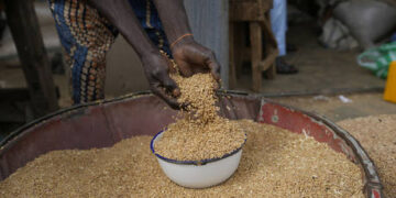 Russia-Africa trade has major potential – Putin