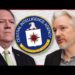 Assange SUING the CIA?