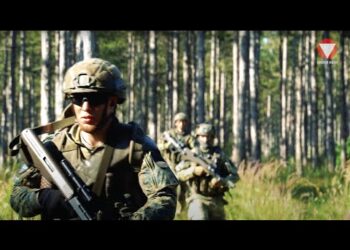 Ausbildungsübung STEINFELD23  – Durchkämmen eines Waldstücks