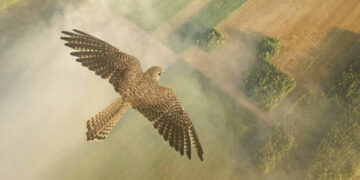 Zelensky adviser casts doubt on future relations with Poland