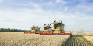 US further upgrades Russian wheat-export outlook