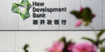 China and India playing into West’s hands – BRICS originator