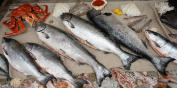 Scientists discover reason for radioactive boars