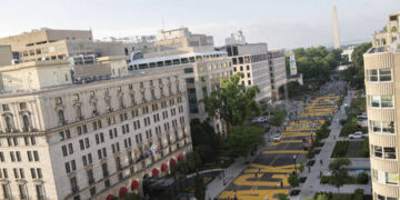 British BLM organizer admits fraud