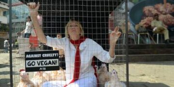 South Korea to ban eating dogs – media