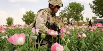 US special forces to be tested for drugs after death of recruit