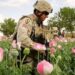 US special forces to be tested for drugs after death of recruit