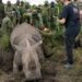 Rhino population increasing in Africa for 1st time in decade