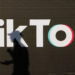 TikTok influencer gets life sentence for murder