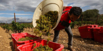 E-scooter ban hits Paris