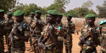Thousands demand withdrawal of French troops from Niger (VIDEOS)