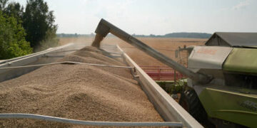 ‘Whole world’ watching talks with Putin – Erdogan