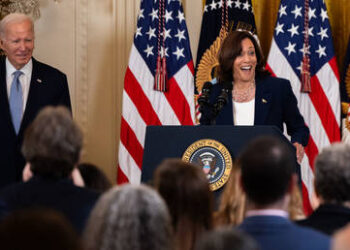 US Vice President ‘doesn’t do much’ – Pelosi