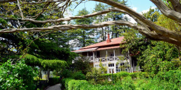 This great Russian artist found peace in the Himalayas. Today, his home is surrounded by destruction and chaos