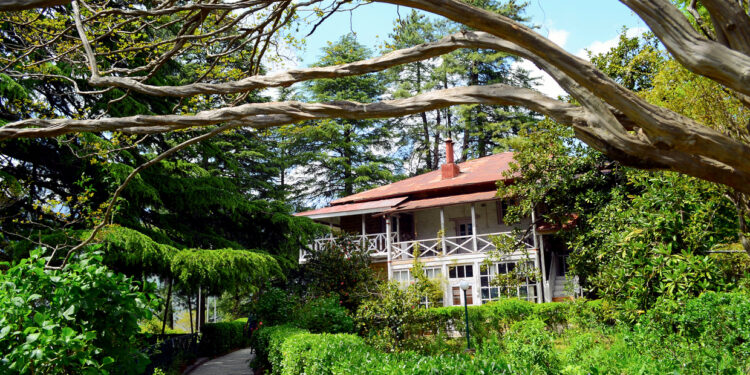 This great Russian artist found peace in the Himalayas. Today, his home is surrounded by destruction and chaos