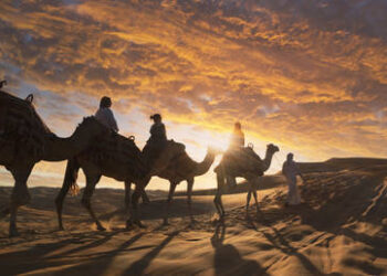 World Youth Festival launches over 30 national preparation committees across the world