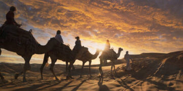 World Youth Festival launches over 30 national preparation committees across the world