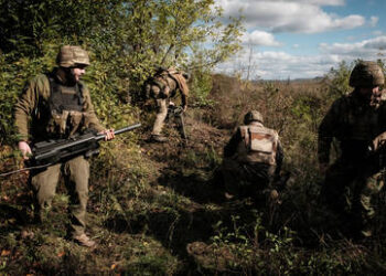 Ivan Timofeev: Will EU border guards really force Russian citizens to undress?