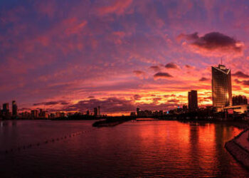 Taiwan tells Musk it’s ‘not for sale’