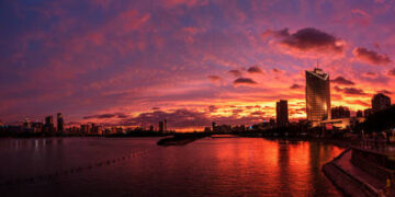 Taiwan tells Musk it’s ‘not for sale’