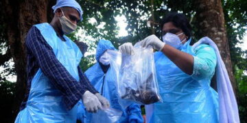 The nightmare returns? A deadly new bat-borne virus is spreading through Asia