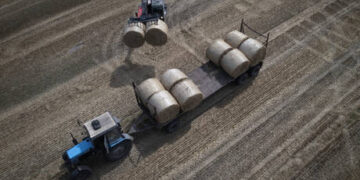EU ‘surprised’ at Ukrainian reaction to grain ban