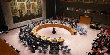 Germany opposes Ukrainian UN proposal – FM