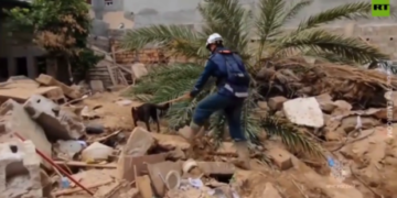 Storm leaves thousands without power in South Africa