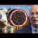 The WEF is HIDING bugs in these foods and you don’t even know it | Redacted with Clayton Morris