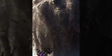 Redacted Presents: Peace, War and 9/11