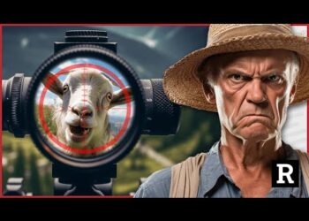 Vegan activists sink to new LOW attacking farms | Redacted News